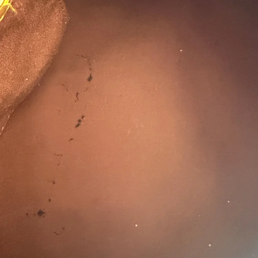 Louis Vuitton Speedy V30. Date Code: SP0169,  dust not included.  EUC! - Picture 4 of 5